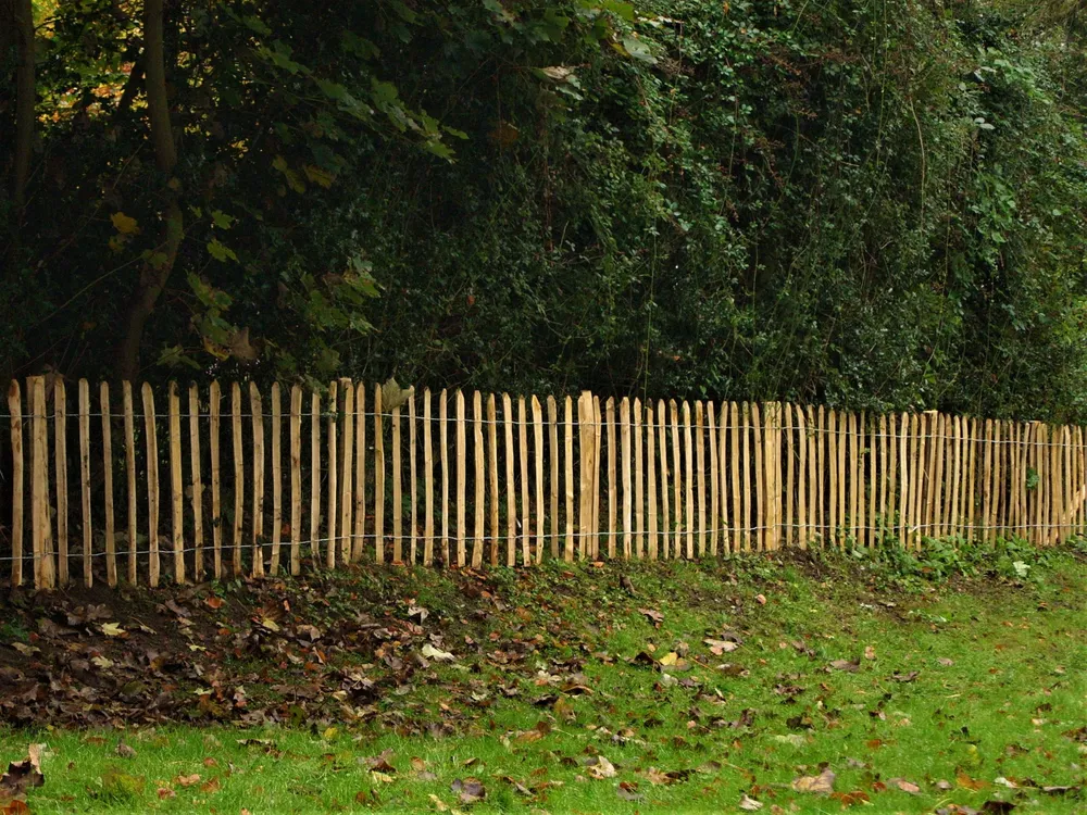 Fencing
