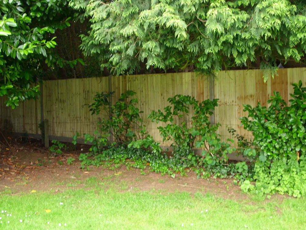 Fencing