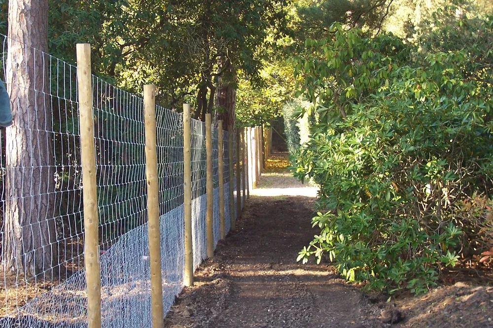 Fencing