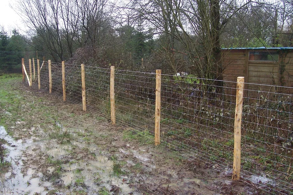 Fencing